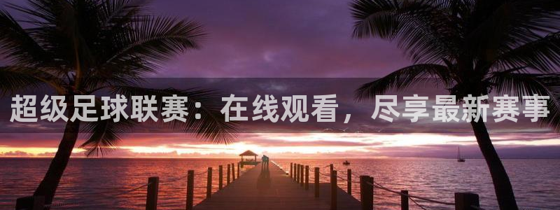 超级足球联赛：在线观看，尽享最新赛事