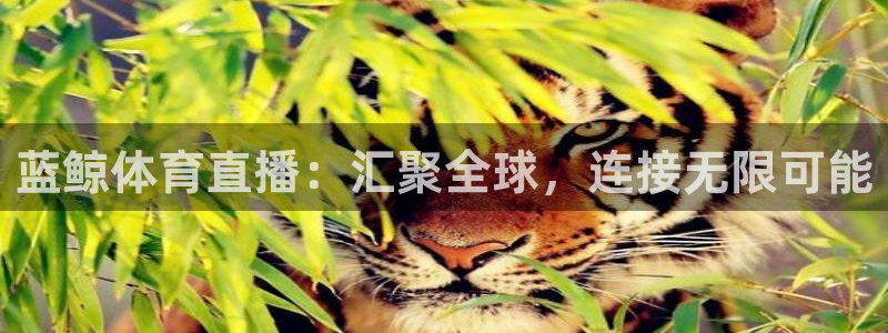 蓝鲸体育直播：汇聚全球，连接无限可能