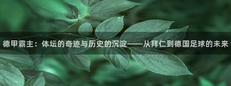 德甲霸主：体坛的奇迹与历史的沉淀——从拜仁到德国足球的未来