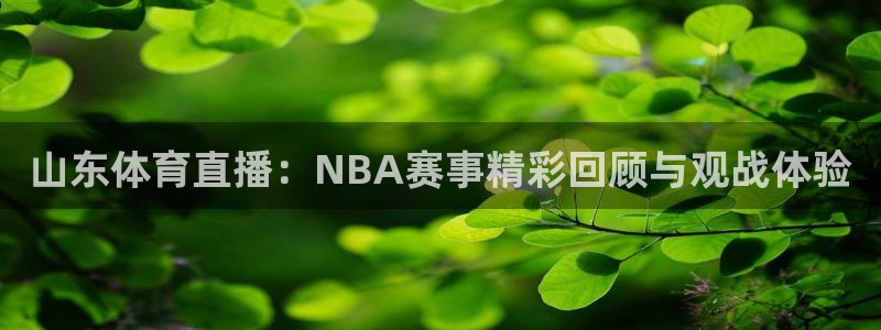 山东体育直播：NBA赛事精彩回顾与观战体验