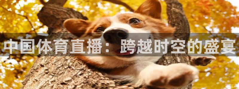 中国体育直播：跨越时空的盛宴
