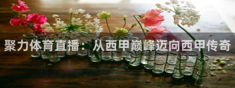 聚力体育直播：从西甲巅峰迈向西甲传奇
