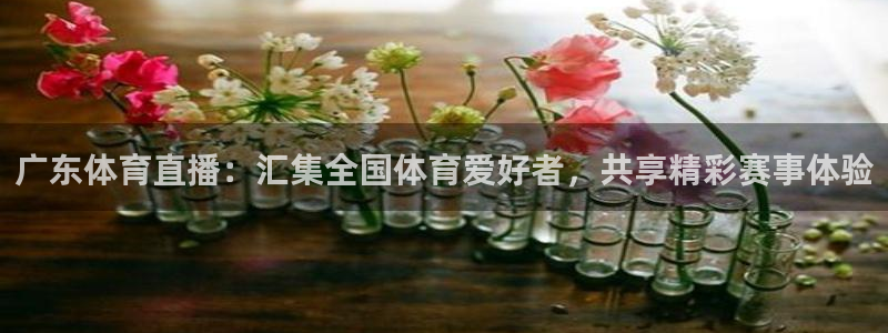广东体育直播：汇集全国体育爱好者，共享精彩赛事体验
