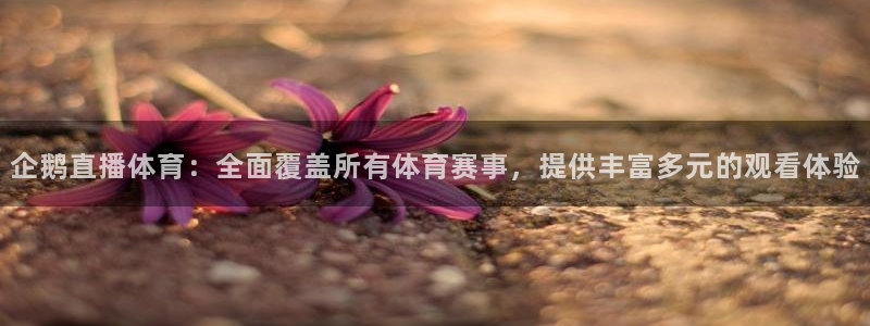企鹅直播体育：全面覆盖所有体育赛事，提供丰富多元的观看体验