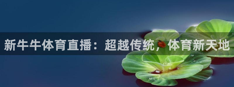 新牛牛体育直播：超越传统，体育新天地