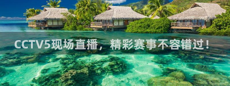 CCTV5现场直播，精彩赛事不容错过！