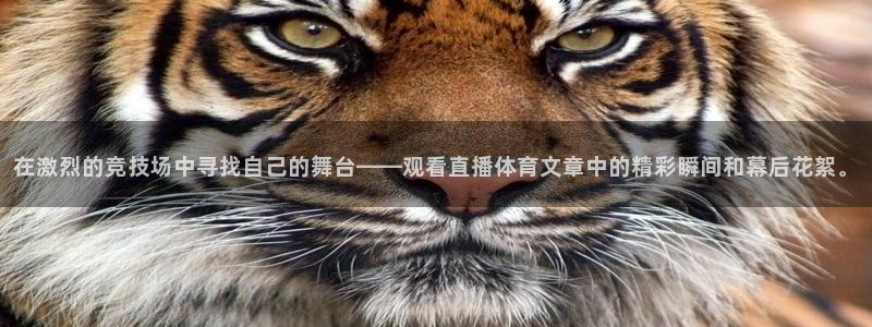 在激烈的竞技场中寻找自己的舞台——观看直播体育文章中的精彩瞬间和幕后花絮。