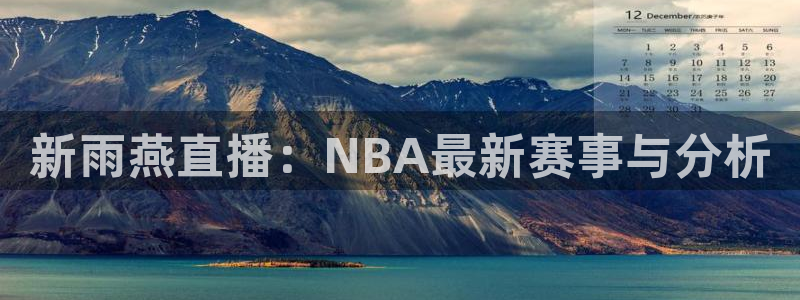 新雨燕直播：NBA最新赛事与分析