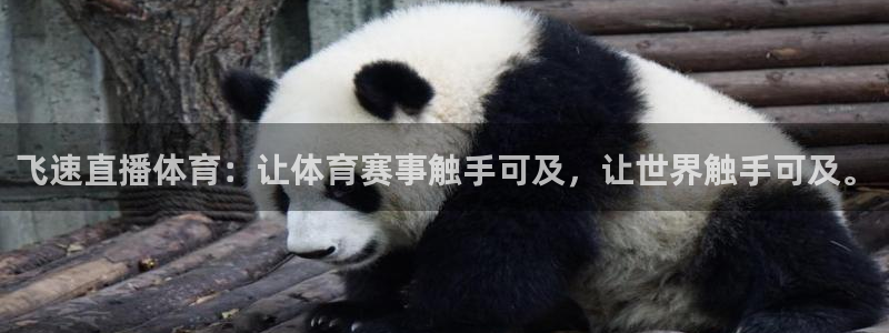 飞速直播体育：让体育赛事触手可及，让世界触手可及。