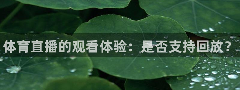体育直播的观看体验：是否支持回放？