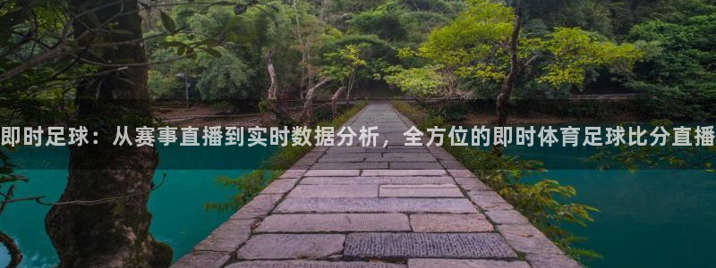 即时足球：从赛事直播到实时数据分析，全方位的即时体育足球比分直播