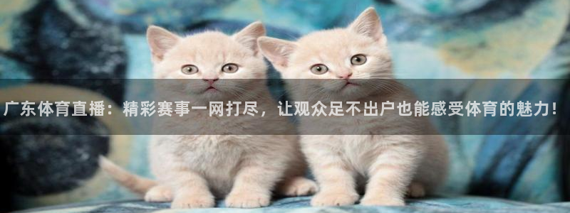 广东体育直播：精彩赛事一网打尽，让观众足不出户也能感受体育的魅力！