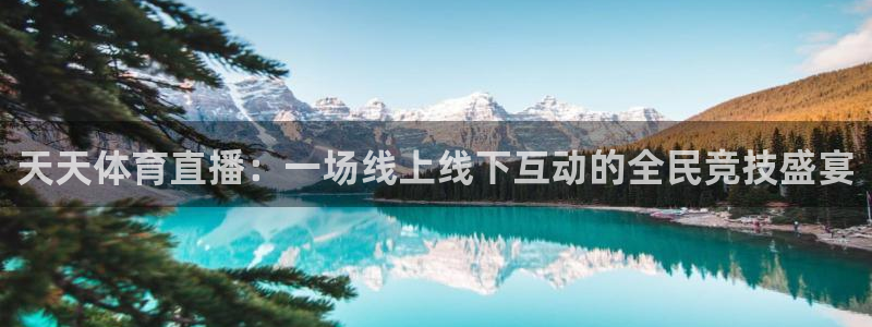 天天体育直播：一场线上线下互动的全民竞技盛宴