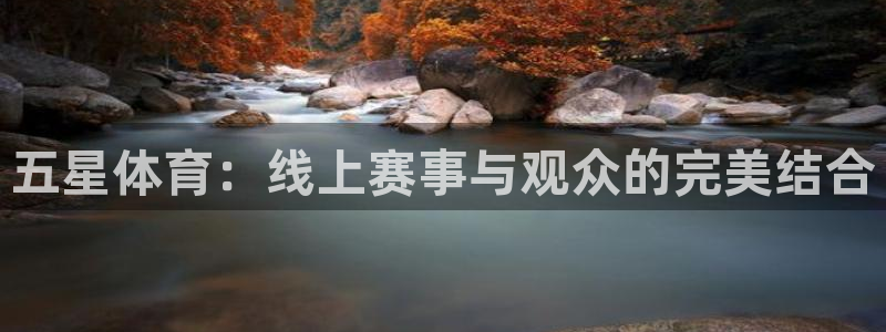 五星体育：线上赛事与观众的完美结合
