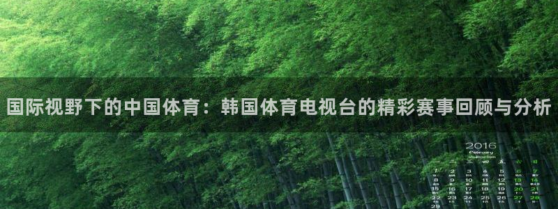 国际视野下的中国体育：韩国体育电视台的精彩赛事回顾与分析