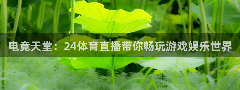 电竞天堂：24体育直播带你畅玩游戏娱乐世界