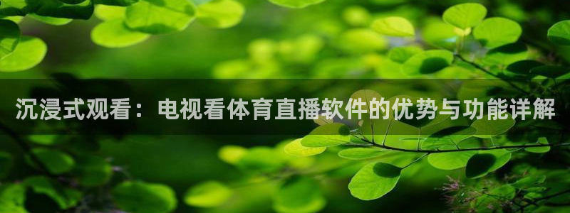 沉浸式观看：电视看体育直播软件的优势与功能详解