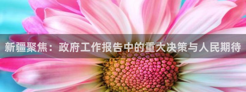 新疆聚焦：政府工作报告中的重大决策与人民期待