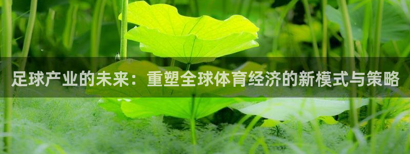 足球产业的未来：重塑全球体育经济的新模式与策略