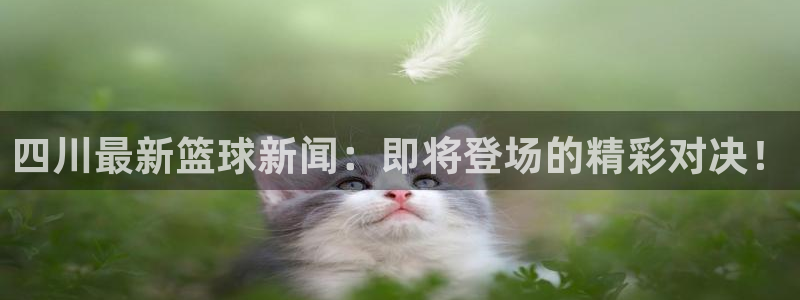 四川最新篮球新闻：即将登场的精彩对决！