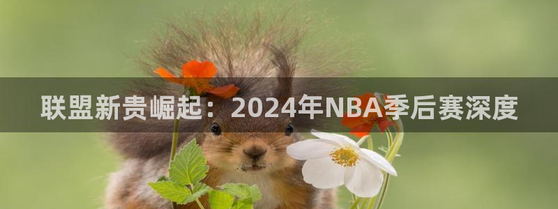 联盟新贵崛起：2024年NBA季后赛深度