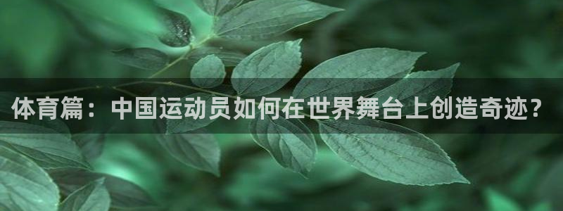 体育篇：中国运动员如何在世界舞台上创造奇迹？