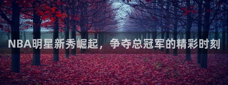 NBA明星新秀崛起，争夺总冠军的精彩时刻