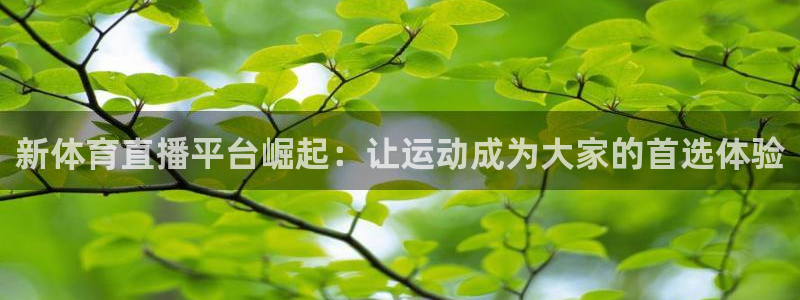 新体育直播平台崛起：让运动成为大家的首选体验