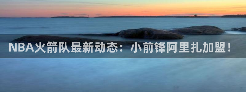 NBA火箭队最新动态：小前锋阿里扎加盟！