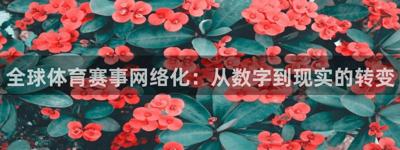 全球体育赛事网络化：从数字到现实的转变