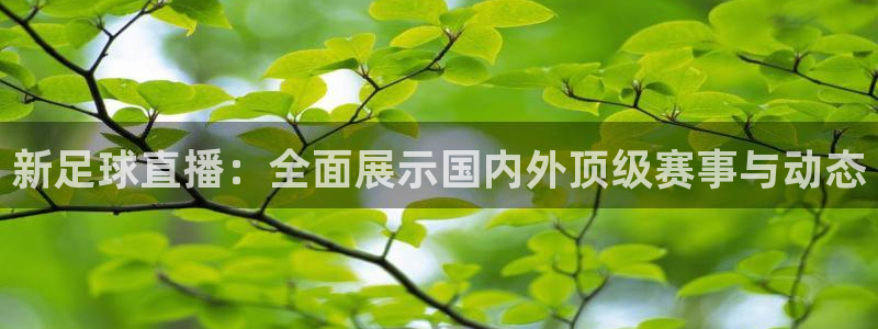 新足球直播：全面展示国内外顶级赛事与动态