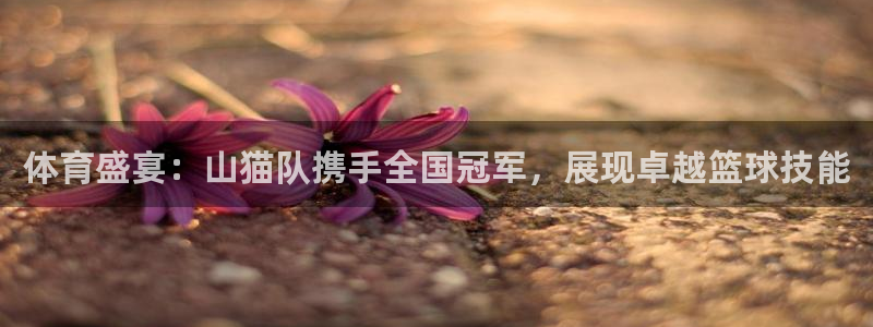 体育盛宴：山猫队携手全国冠军，展现卓越篮球技能