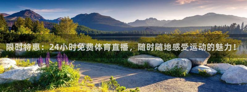 限时特惠：24小时免费体育直播，随时随地感受运动的魅力！