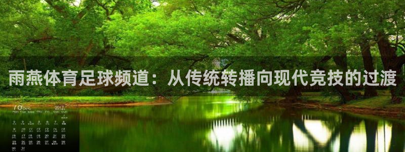 雨燕体育足球频道：从传统转播向现代竞技的过渡