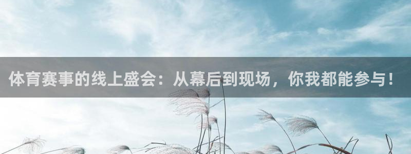 体育赛事的线上盛会：从幕后到现场，你我都能参与！