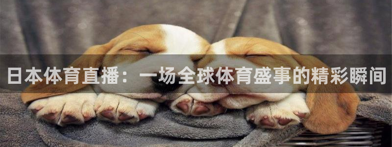 日本体育直播：一场全球体育盛事的精彩瞬间