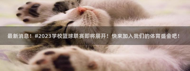 最新消息！#2023学校篮球联赛即将展开！快来加入我们的体育盛会吧！