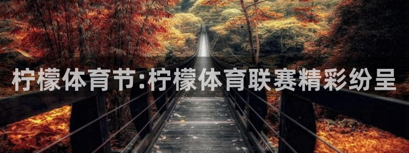 柠檬体育节:柠檬体育联赛精彩纷呈