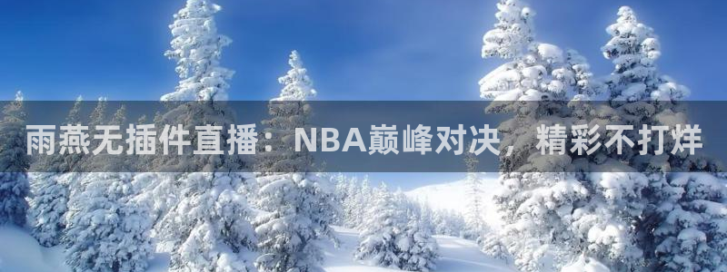 雨燕无插件直播：NBA巅峰对决，精彩不打烊