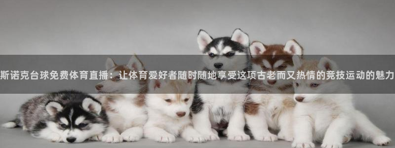 斯诺克台球免费体育直播：让体育爱好者随时随地享受这项古老而又热情的竞技运动的魅力