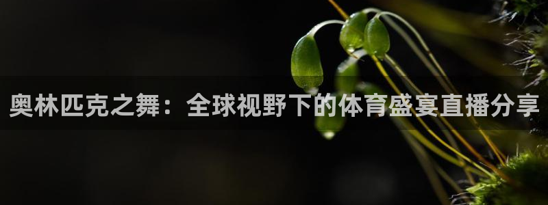奥林匹克之舞：全球视野下的体育盛宴直播分享