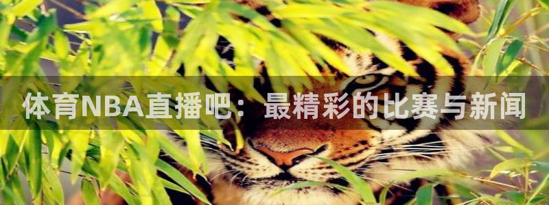 体育NBA直播吧：最精彩的比赛与新闻