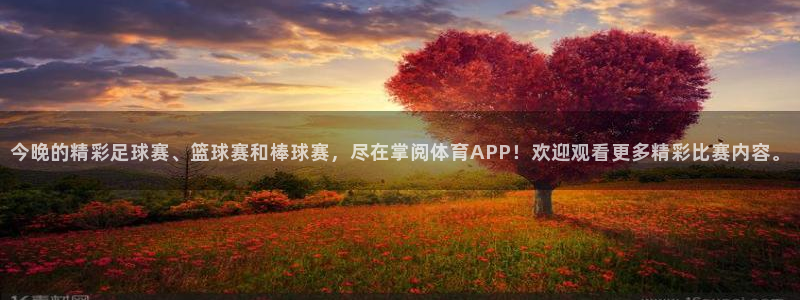 今晚的精彩足球赛、篮球赛和棒球赛，尽在掌阅体育APP！欢迎观看更多精彩比赛内容。