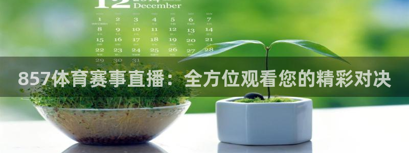 857体育赛事直播：全方位观看您的精彩对决