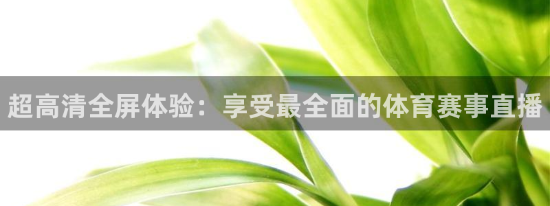 超高清全屏体验：享受最全面的体育赛事直播