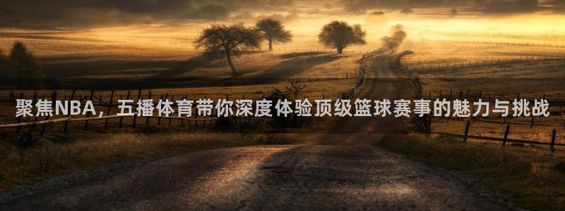 聚焦NBA，五播体育带你深度体验顶级篮球赛事的魅力与挑战