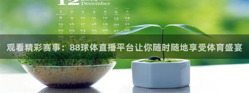 观看精彩赛事：88球体直播平台让你随时随地享受体育盛宴