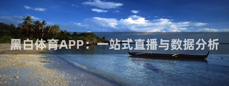 黑白体育APP：一站式直播与数据分析