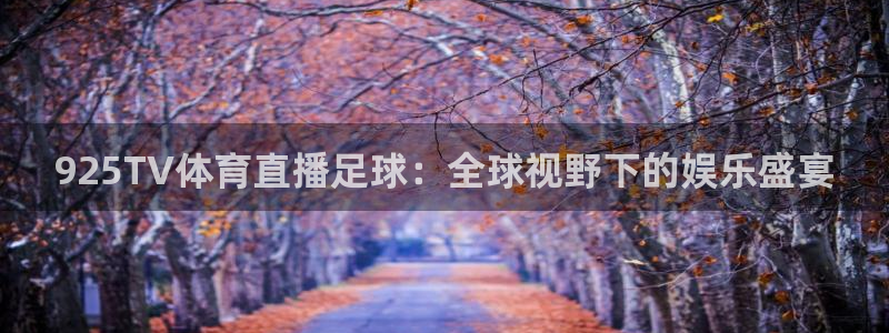 925TV体育直播足球：全球视野下的娱乐盛宴