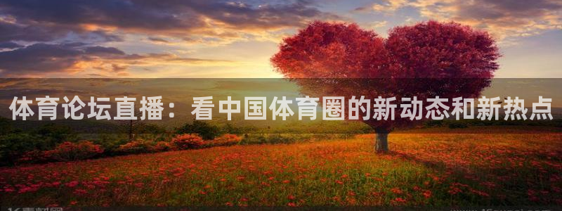 体育论坛直播：看中国体育圈的新动态和新热点